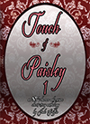 Touch Of Paisley 1 - novel